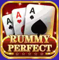 Rummy Perfect Icon